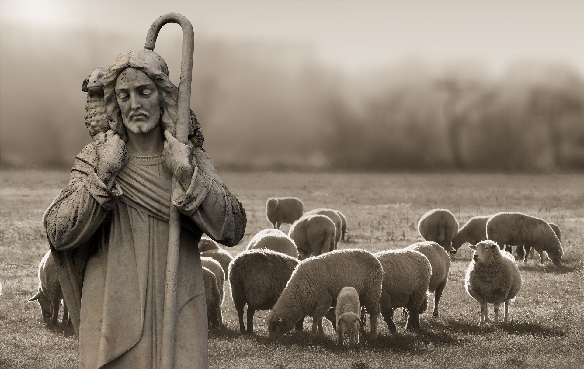 Saint Joseph of Cupertino flew and the animals stopped to listen! the saint of students