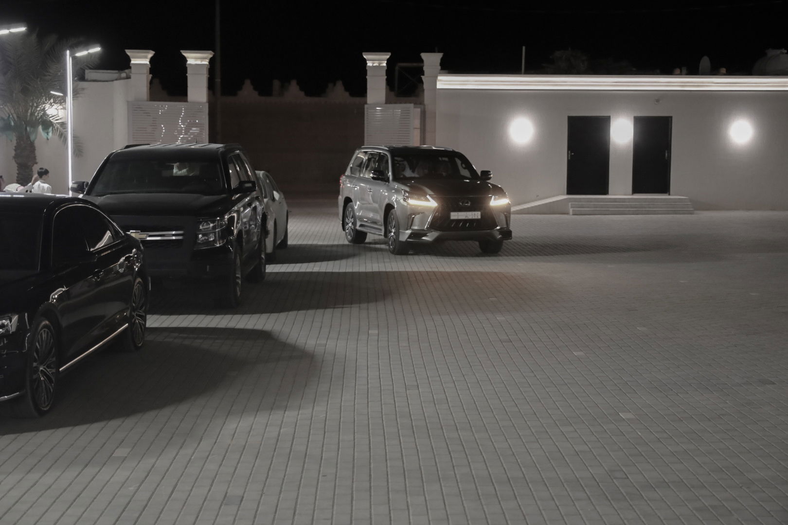 افراح(التركي -الدغفق)