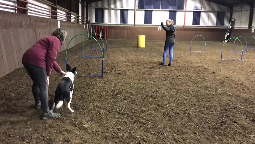 Jess - young legs at 2 years old :). 2/11/22