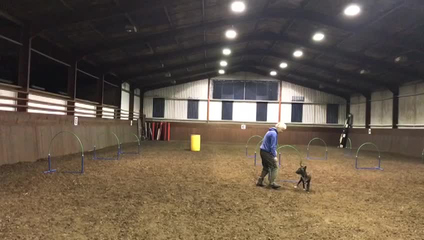 Albie nearly 5 months old