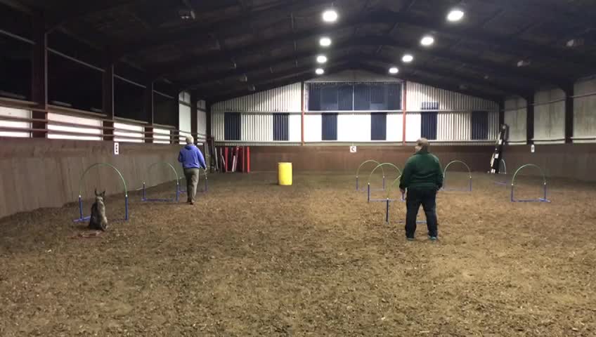 Albie 2/11/22. Nearly 5 months old.