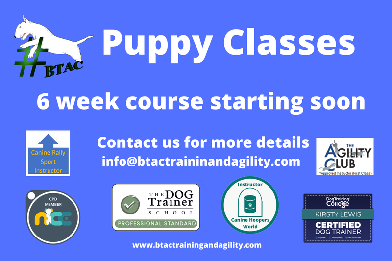 Puppy and Beginner Course 6pm Jubilee Hall, Bierton