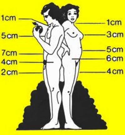 Abmagerungskuren- Slimming Cure- Hollywood diet image