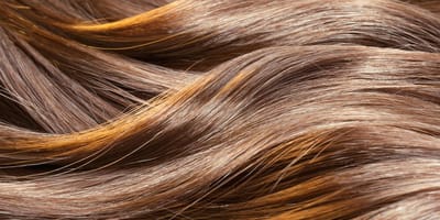 Haartransplantation- FUE - Haartransplantation image