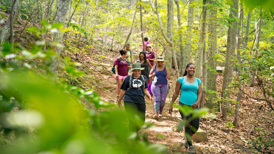 Nature Walks