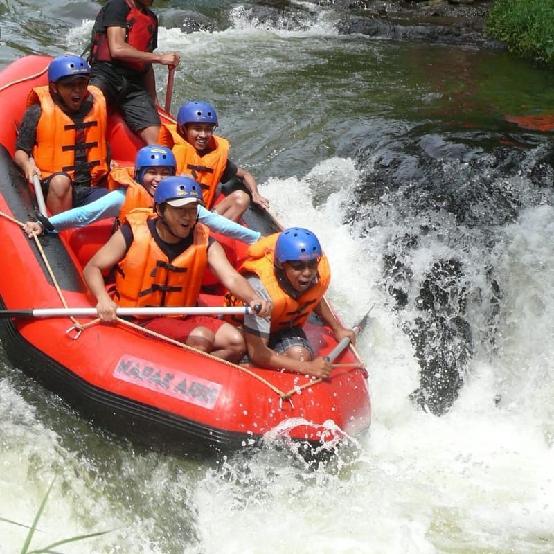 RAFTING