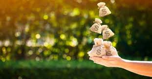 Cég átvilágítás