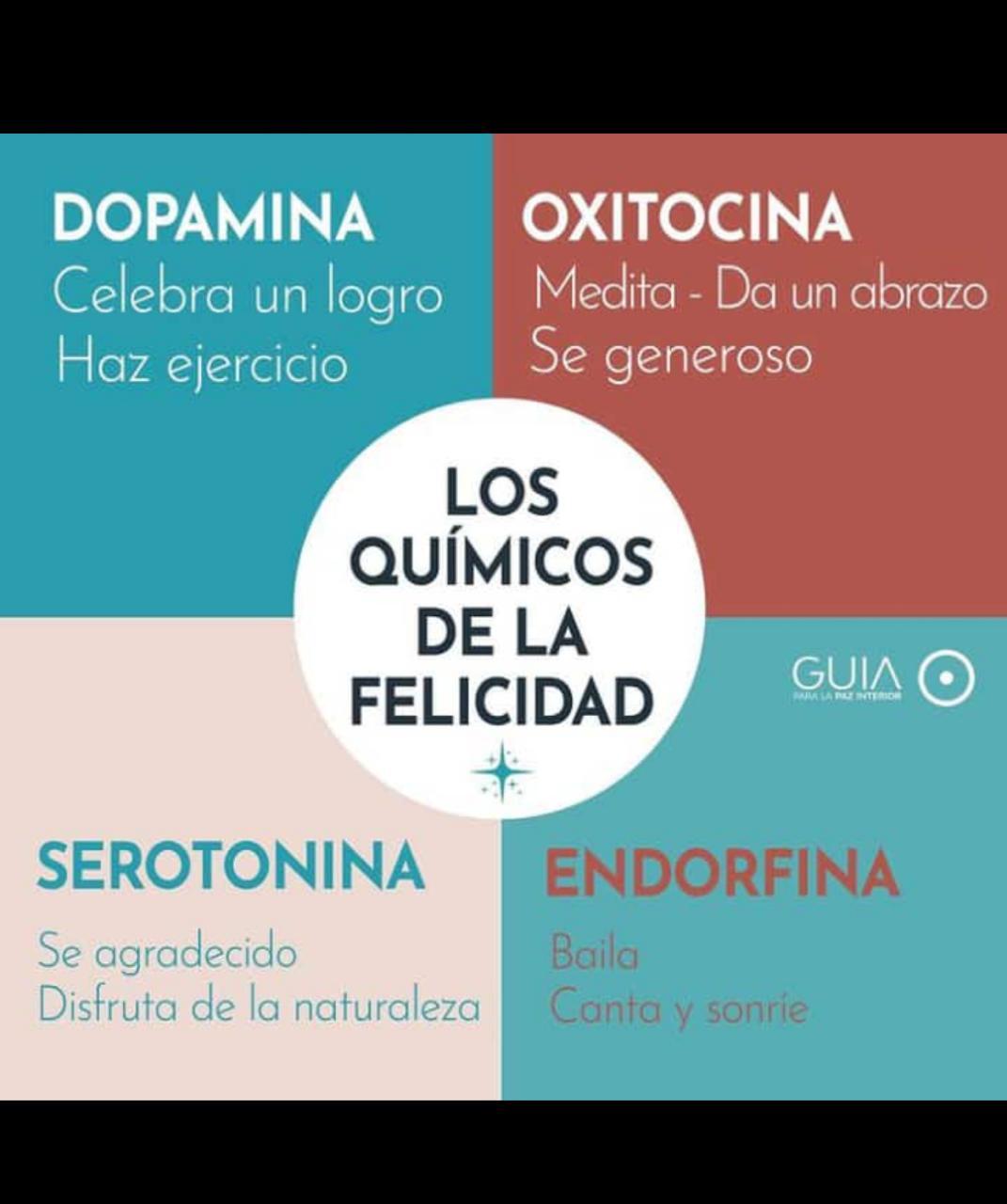 LOS QUIMICOS DE LA FELICIDAD