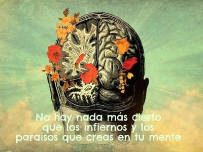 ¿QUE LE PASA AL CEREBRO CUANDO NOS ENOJAMOS?