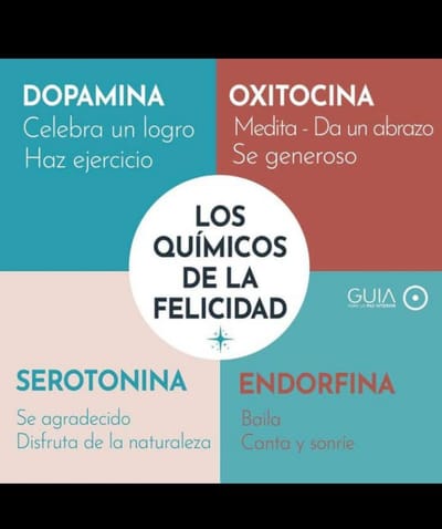 LOS QUIMICOS DE LA FELICIDAD