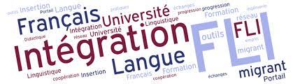 FLE vs FLI, quelle est la différence ?
