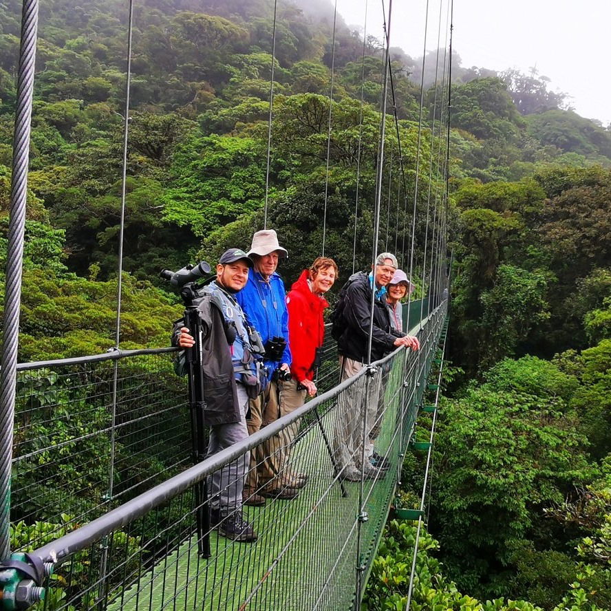 Hanging Bridges