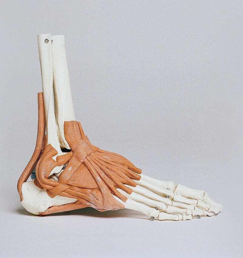 Orthopedic Conditions