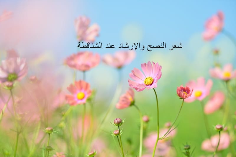 من شعر الشناقطة