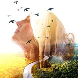 Life Changing Event image