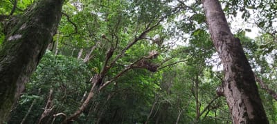 Qualifications image