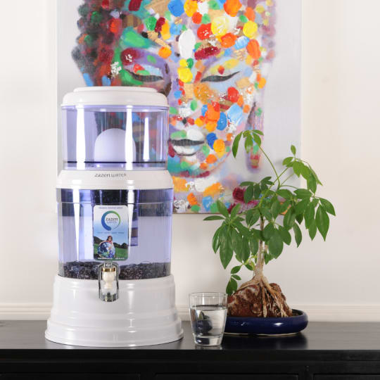 zazen Alkaline Water