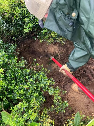 Septic tank pumping mississippi image