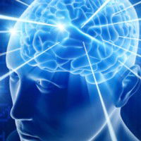 Consciousness