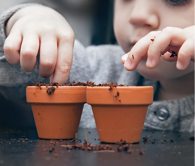 Help your children cultivate a love for nature...