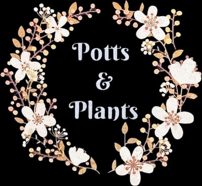 Potts & Plants