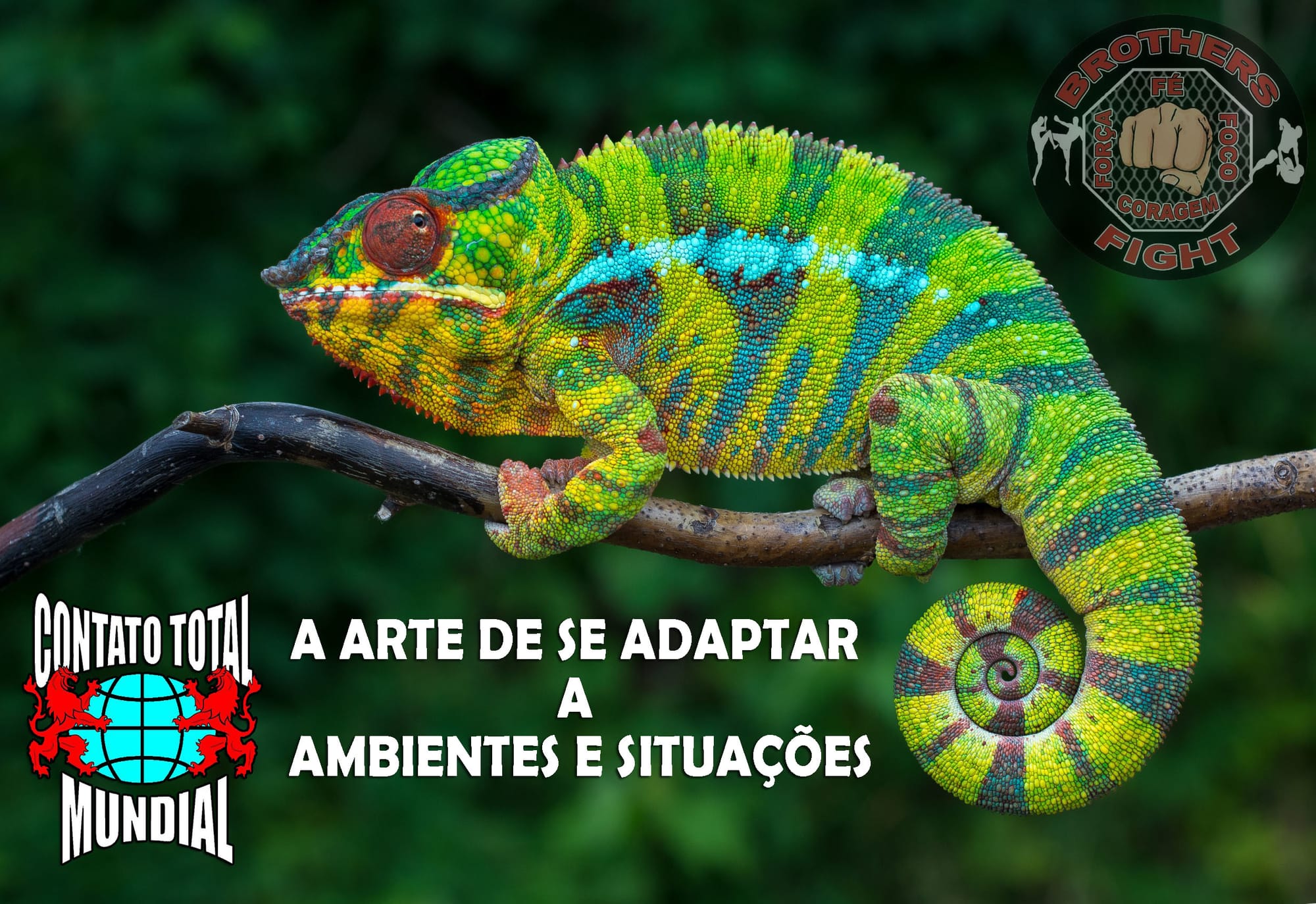 O CAMALEÃO DAS ARTES MARCIAIS.