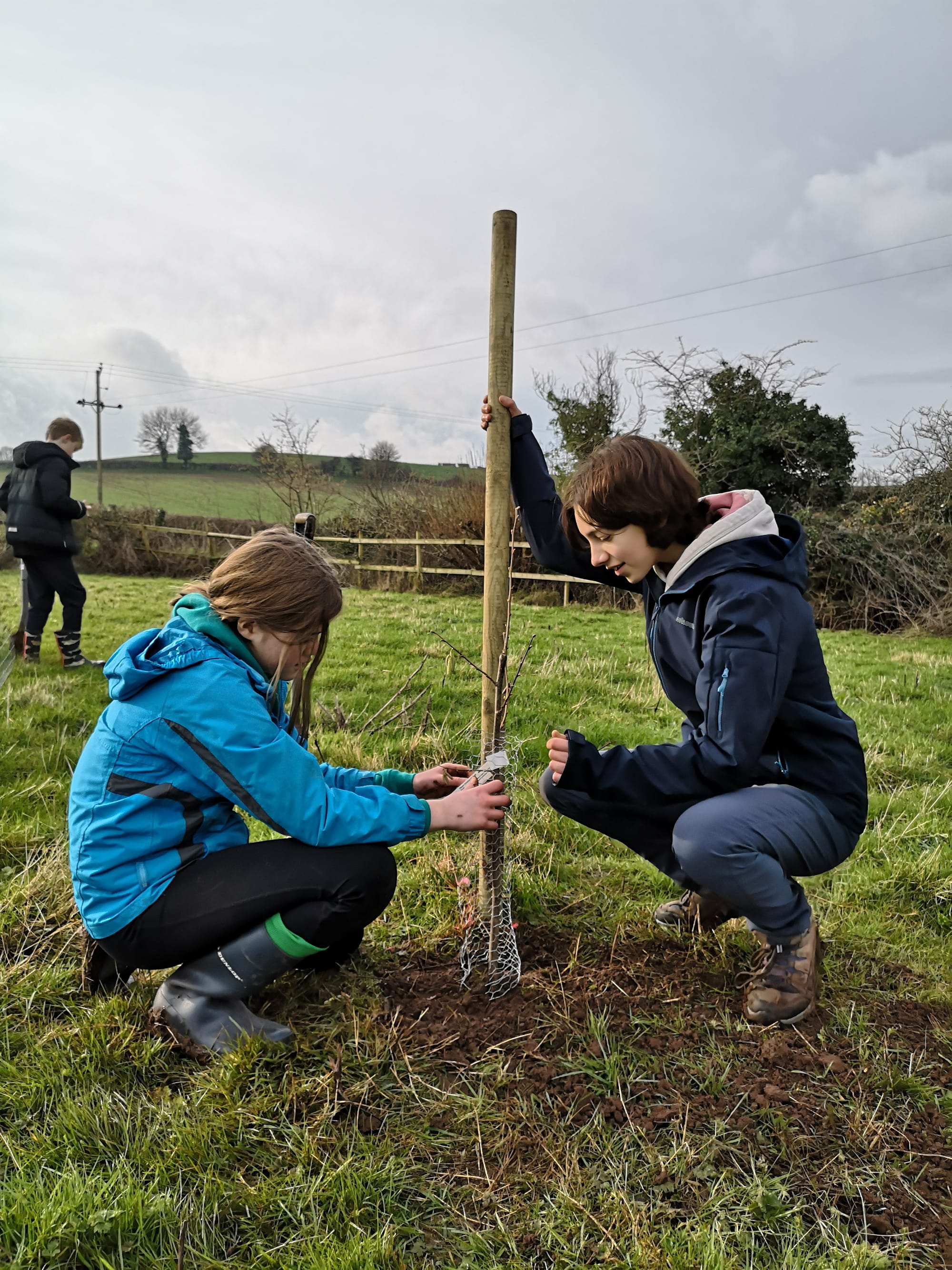 Tree planting Jan 2022