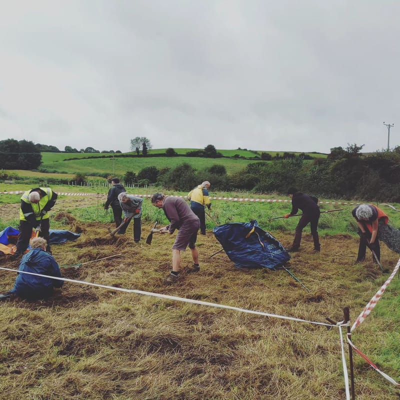 Wildflower Soil Prep