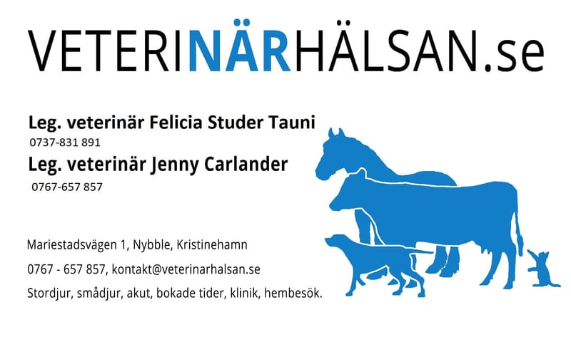 Veterinär