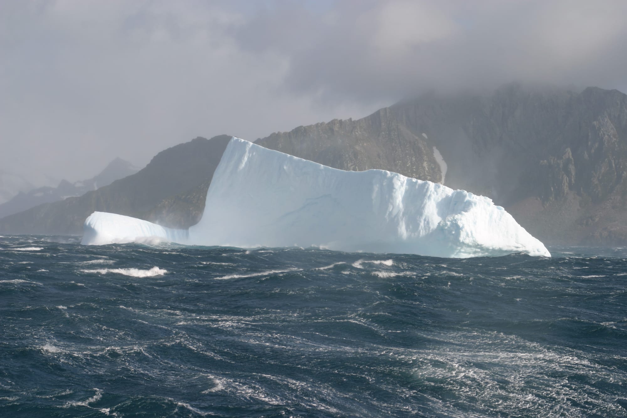 Iceberg