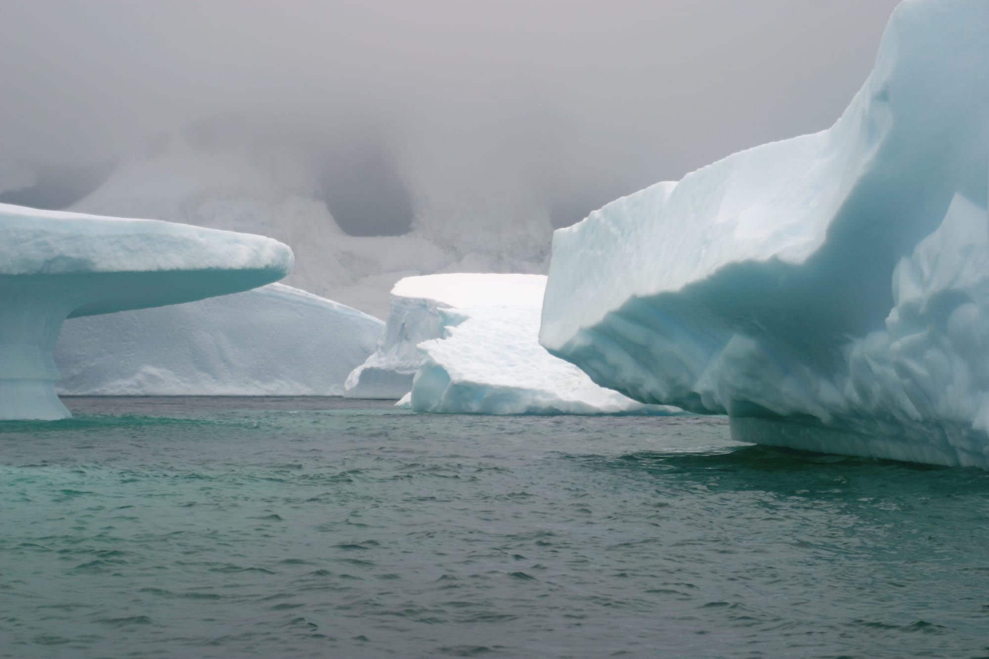 Iceberg Graveyard