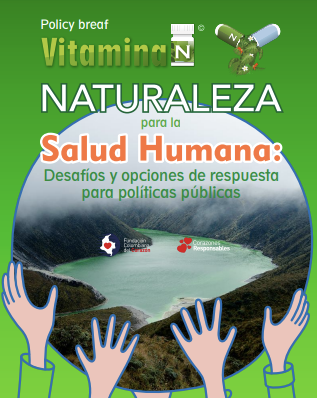 Vitamina N