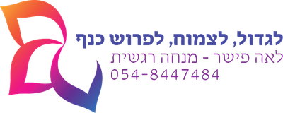 לאה פישר, אימון ביסודיות - זהו סוד המומחיות!