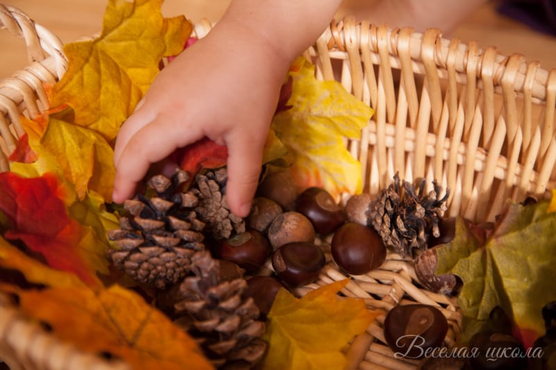 Школа 100 ЧУДЕС. Татьяна Зимина. Занимательное занятие для детей от 3 до 5 лет.