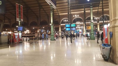 A Guide to book Private Transfers Charles de Gaulle Airport to Disneyland Paris