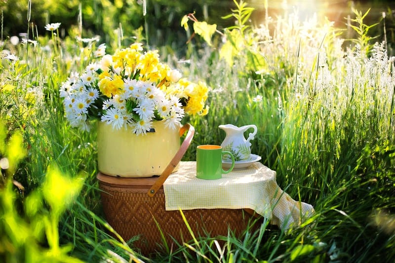 ACHTSAM.ELTERN.SEIN! STÄRKUNG DER ELTERN-KIND-BEZIEHUNG TEIL 1 - RUHE IN MIR FINDEN ONLINE -