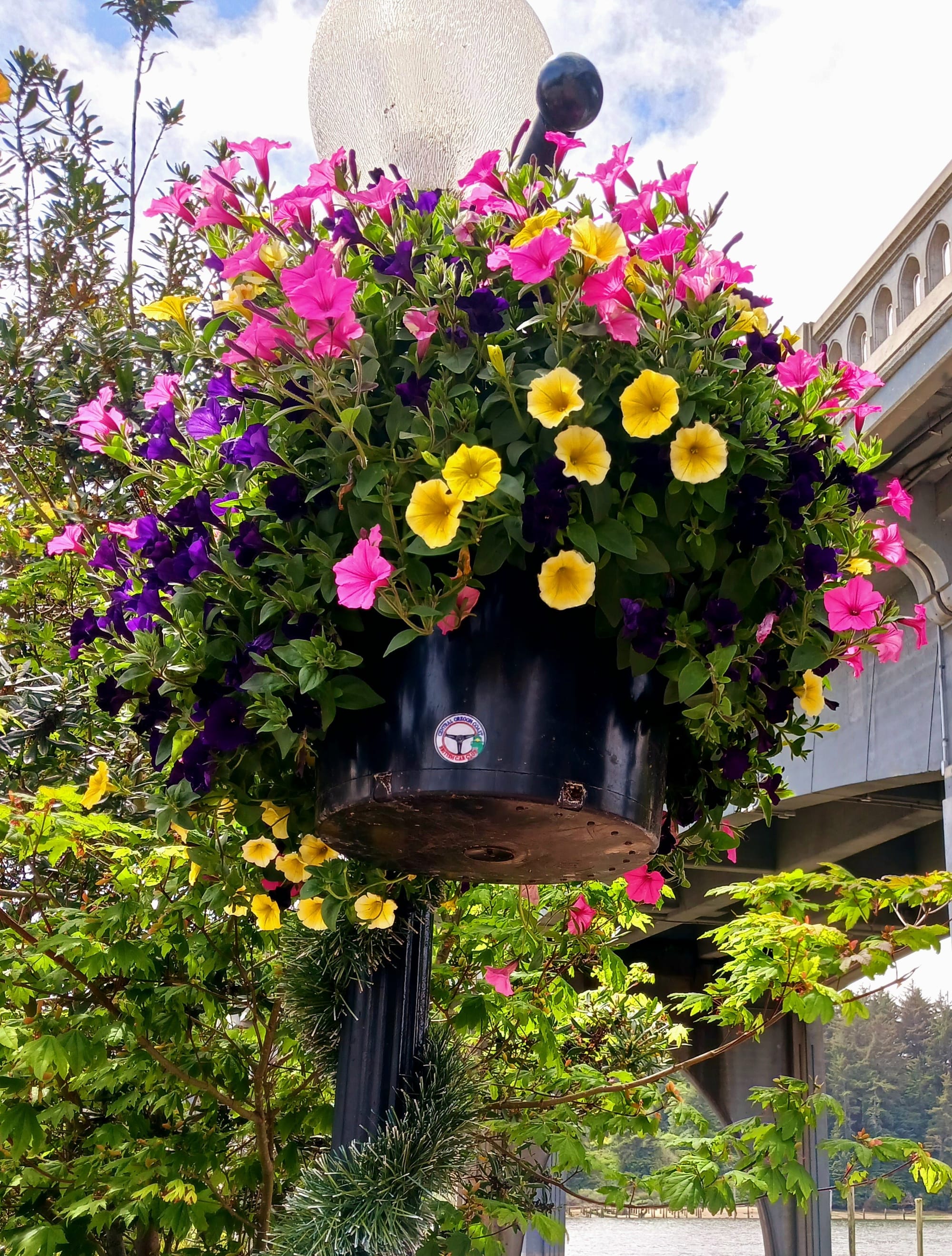 Car Club Sponsored Flower Basket in Old Town Florence - May 2024