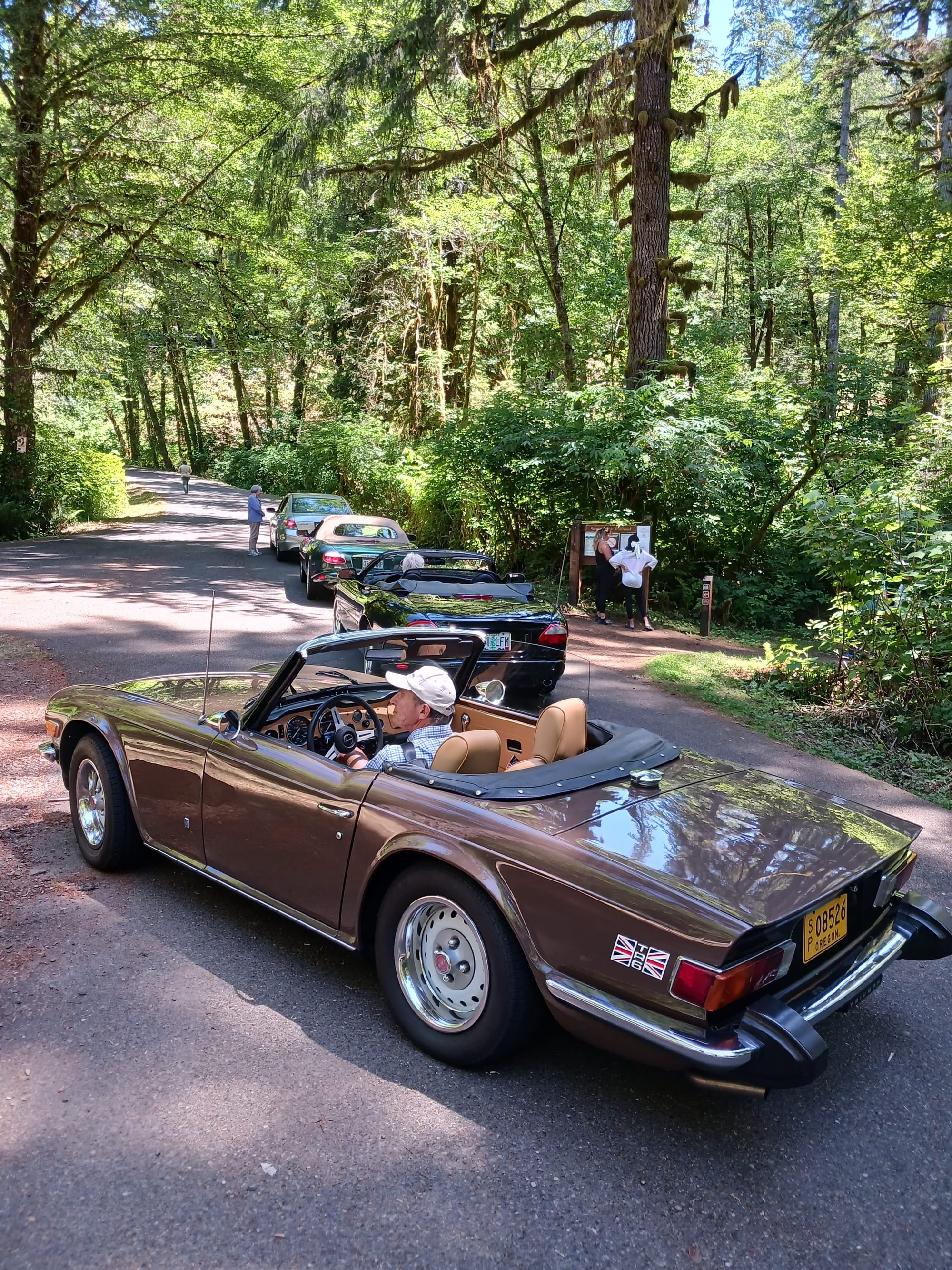 Sweet Creek Falls Tour, June 25