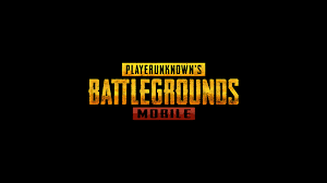 PubG Services