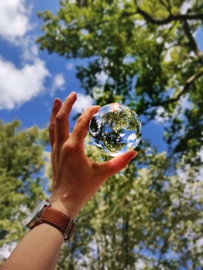 How to Reduce Carbon Footprint in 2022