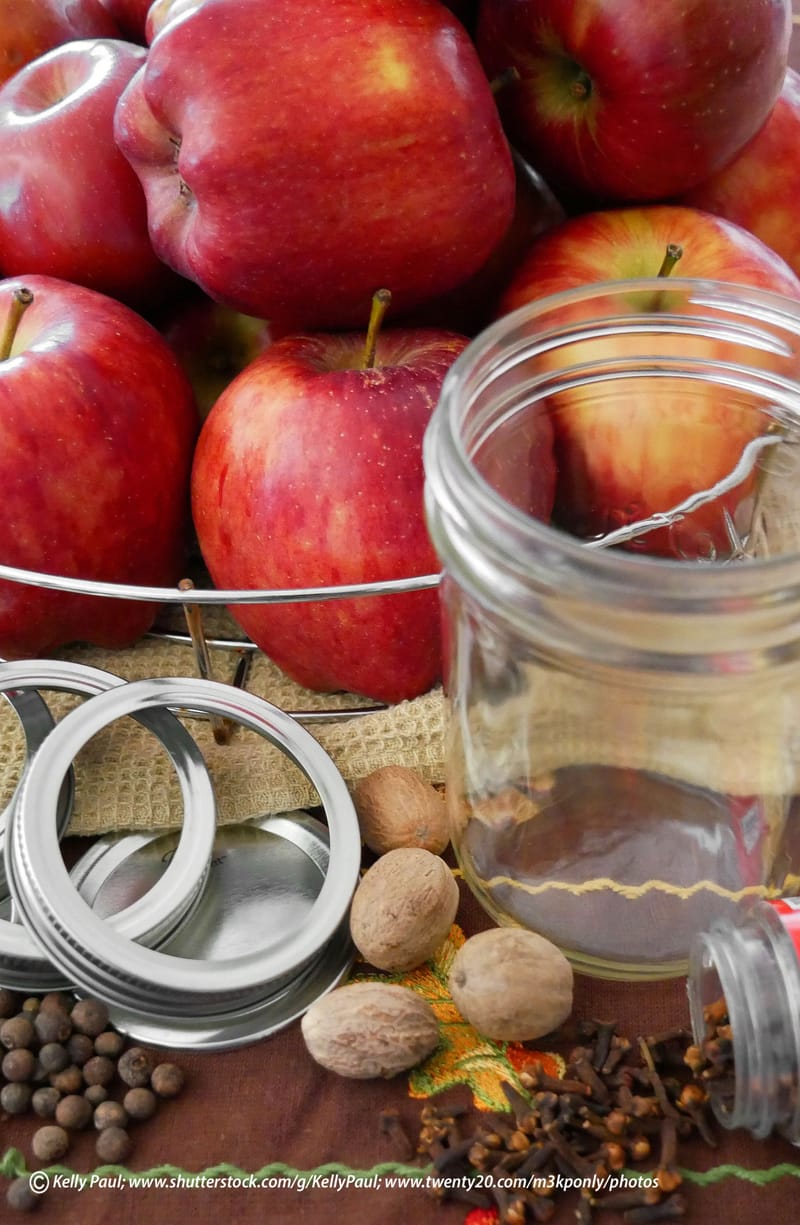 My Favorite Homemade Jelly