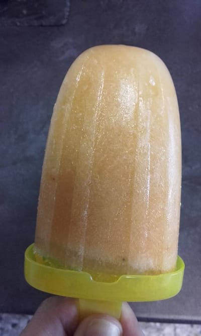 Sorbet Melon