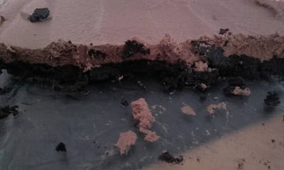 Cheesecake oréo