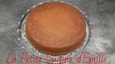 Gâteau au lait concentré sucré et chocolat