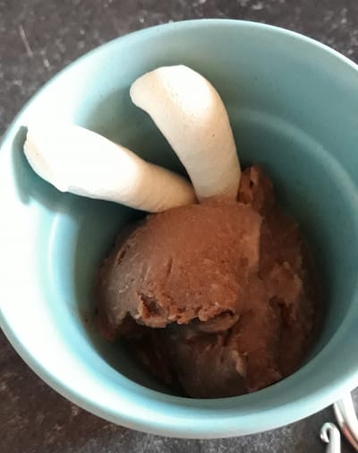 Glace Cacao/Fève de tonka