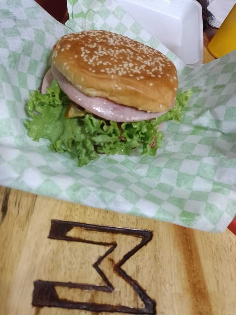 HAMBURGUESAS DE POLLO CON PAPAS