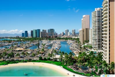 Cast Your Line and Reel in the Fun with Miami Beach Fishing Charter Boat