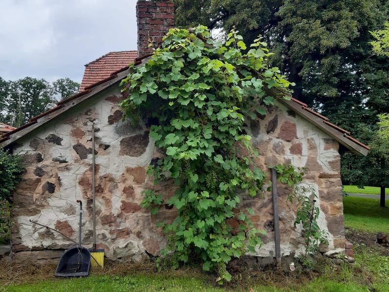 Hof- und Gartenpflege