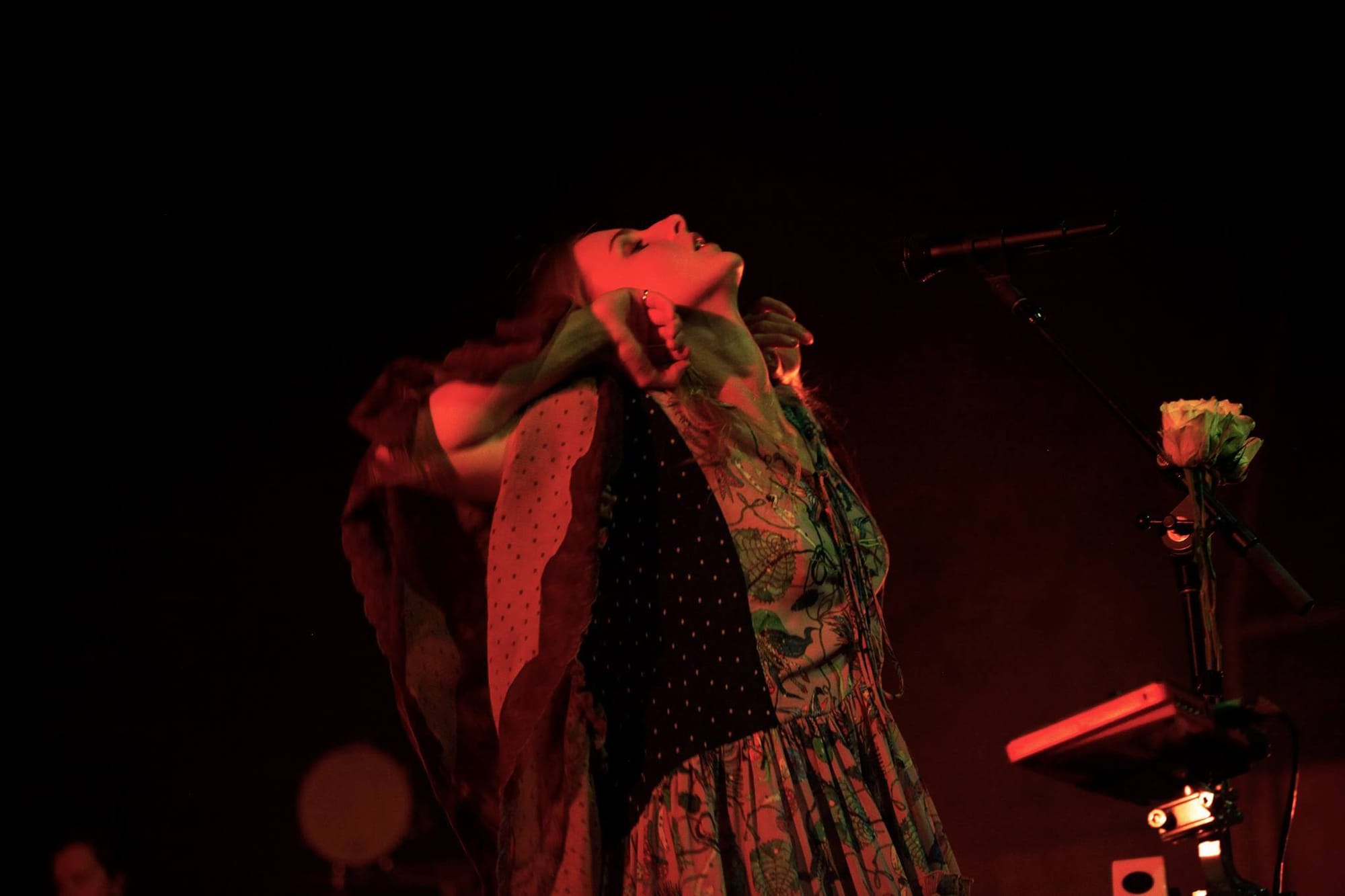 Hobart, Tasmania 2016-2019