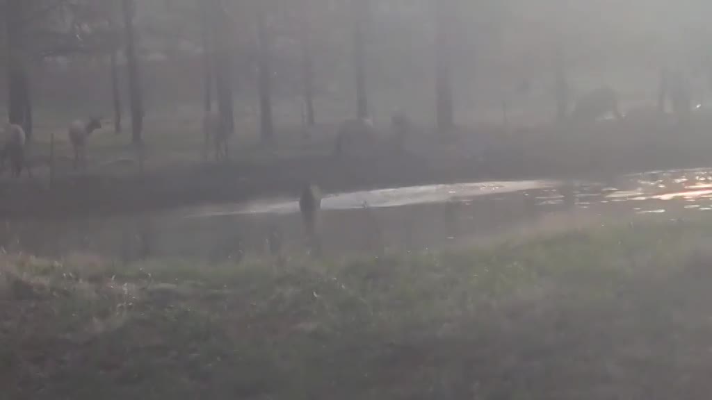 About video thumbnail
